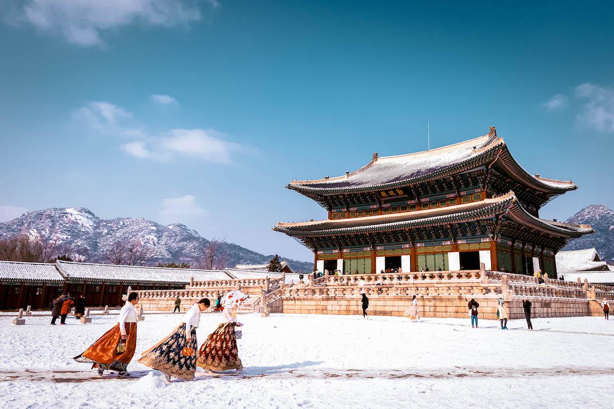 Destination Korea: Year-End trip with Fuzzie benefits